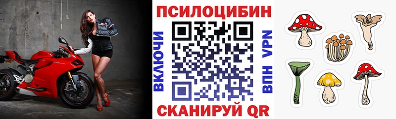 Купить  Шенкурск  Псилоцибиновые грибы мицелий 